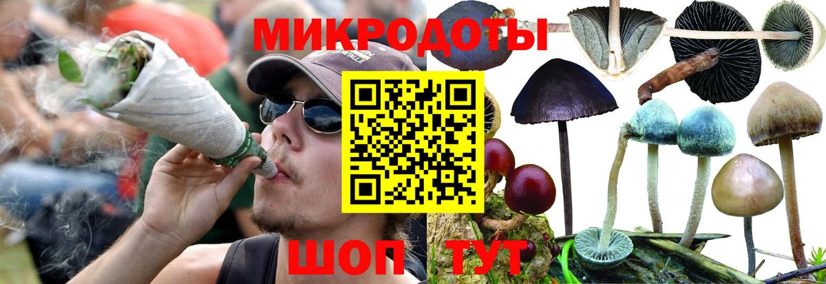 Семёнов  Псилоцибиновые грибы мухоморы  Вход с VPN 